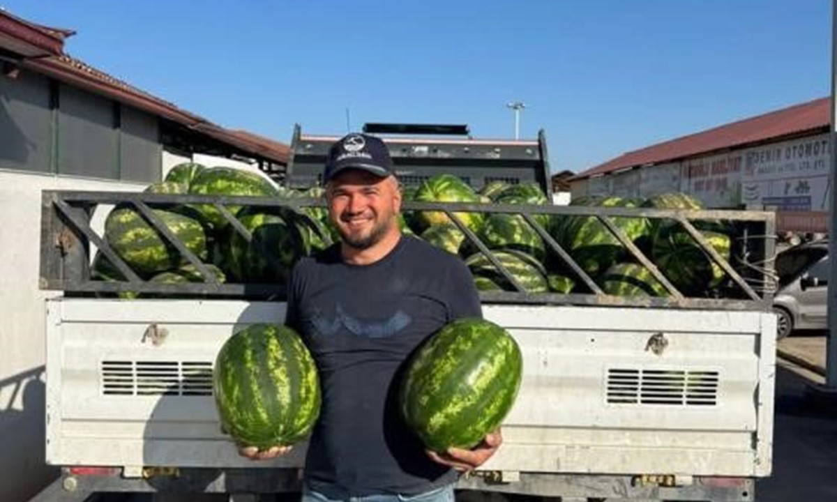 Osmaneli'nin coğrafi işaretli lezzetinde hasat başladı: Kilosu 10 lira!