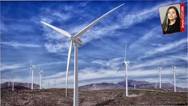 Latmos Dağlarını kapsayan RES projesine bakanlık onay verdi: Çeşitlilik tehlikede