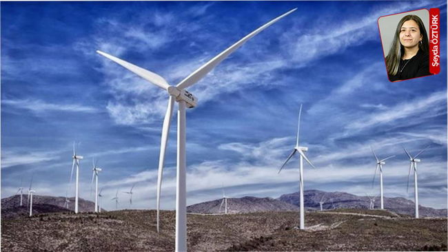 Çeşitlilik tehlikede