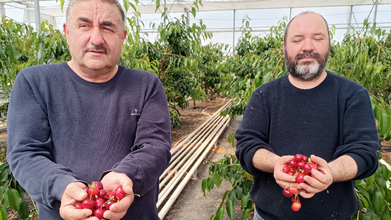 Jeotermal serada yetişti: Hasat takvimi 2 ay öne çekildi