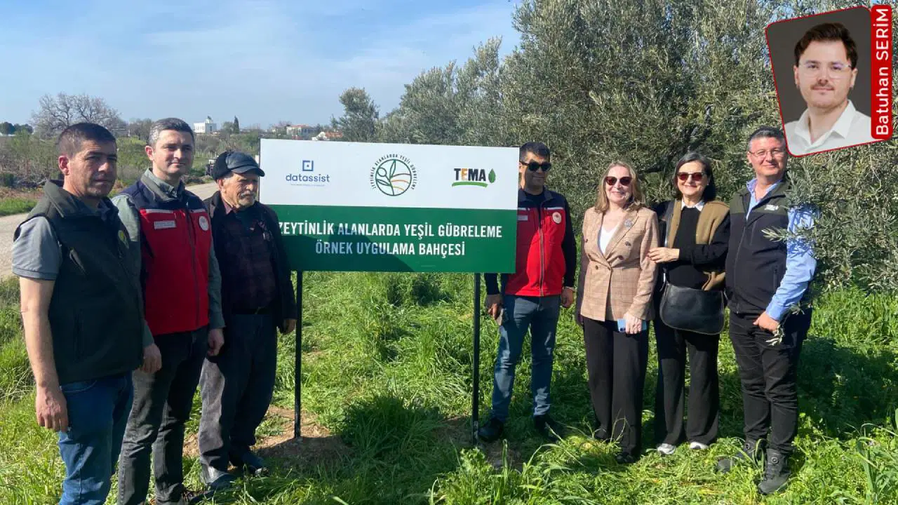 Zeytinliklerde doğa temelli dönüşüm: 'Toprak suyu tutarsa üretim sürer'