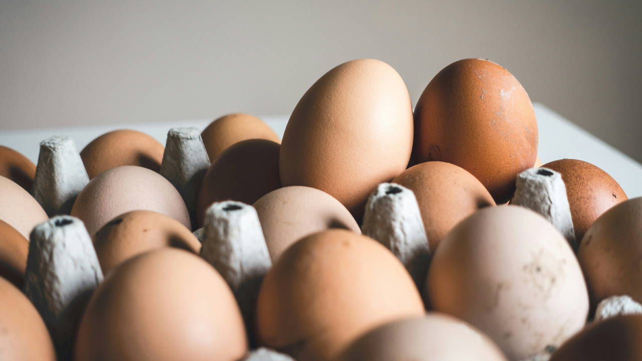 Salmonella alarmı: En az 306 kişi hastalandı, yumurtalar acil olarak geri çağrıldı
