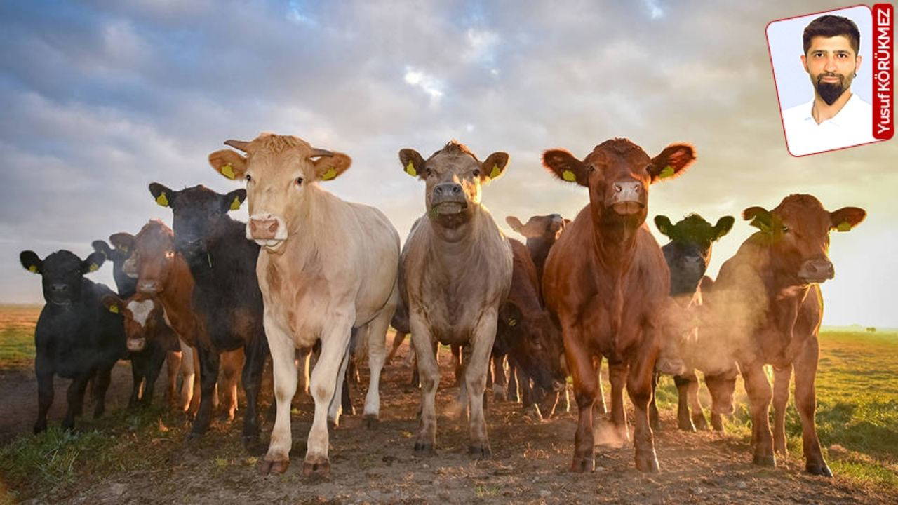 Üretici ithal kıskacında