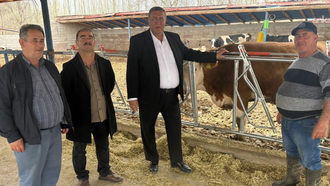 Süt üreticisi CHP'li Gürer'e dert yandı