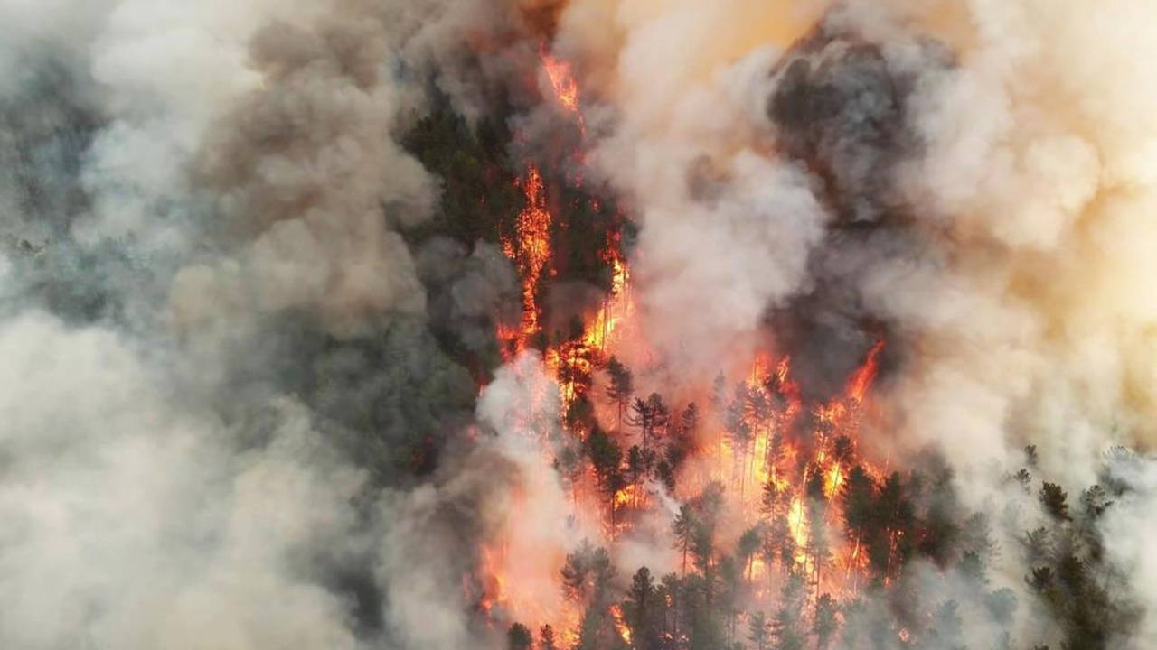 Karabük'te orman yangını: Bir mahalle boşaltıldı!