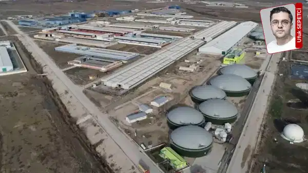 Mesudiye'de 15 bin hayvan kapasiteli mera projesine kritik bilirkişi raporu: 'ÇED kararı mevzuata uygun değil'
