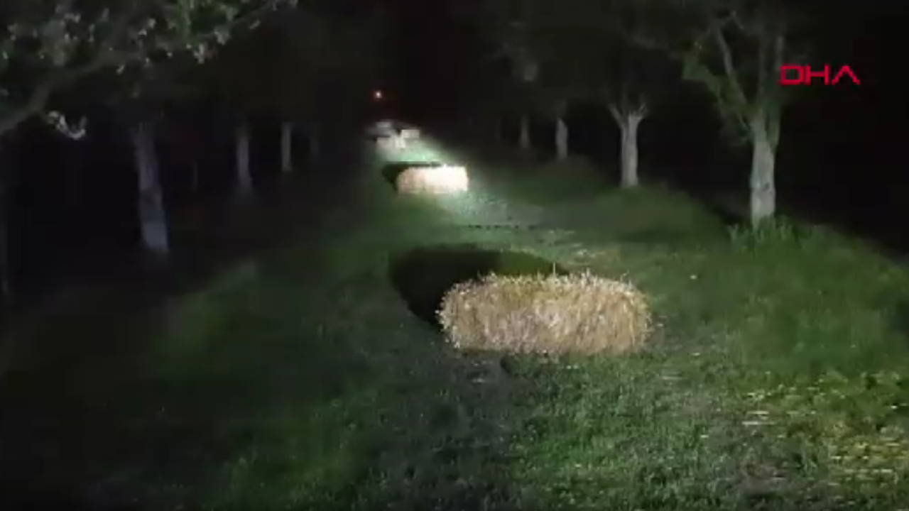 Iğdır'da üreticilerin don nöbeti: Çiçek açan kayısı ağaçlarını dumanla koruyorlar