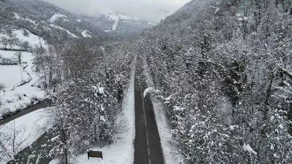 Dünyadaki benzerlerini aratmıyor! 'Ağaç tünel yol'da büyüleyen kar manzaraları...