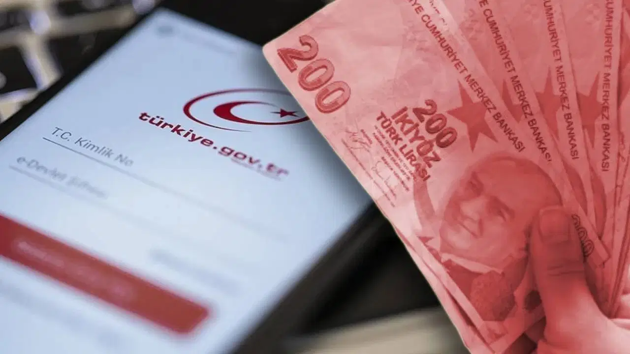e-Devlet’ini kontrol etmeyenler kaybediyor: Paralar devlete iade ediliyor!