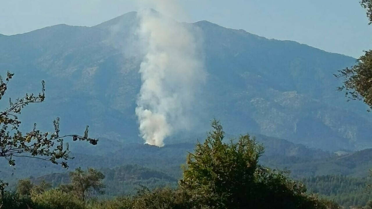 Muğla Seydikemer'de orman yangını