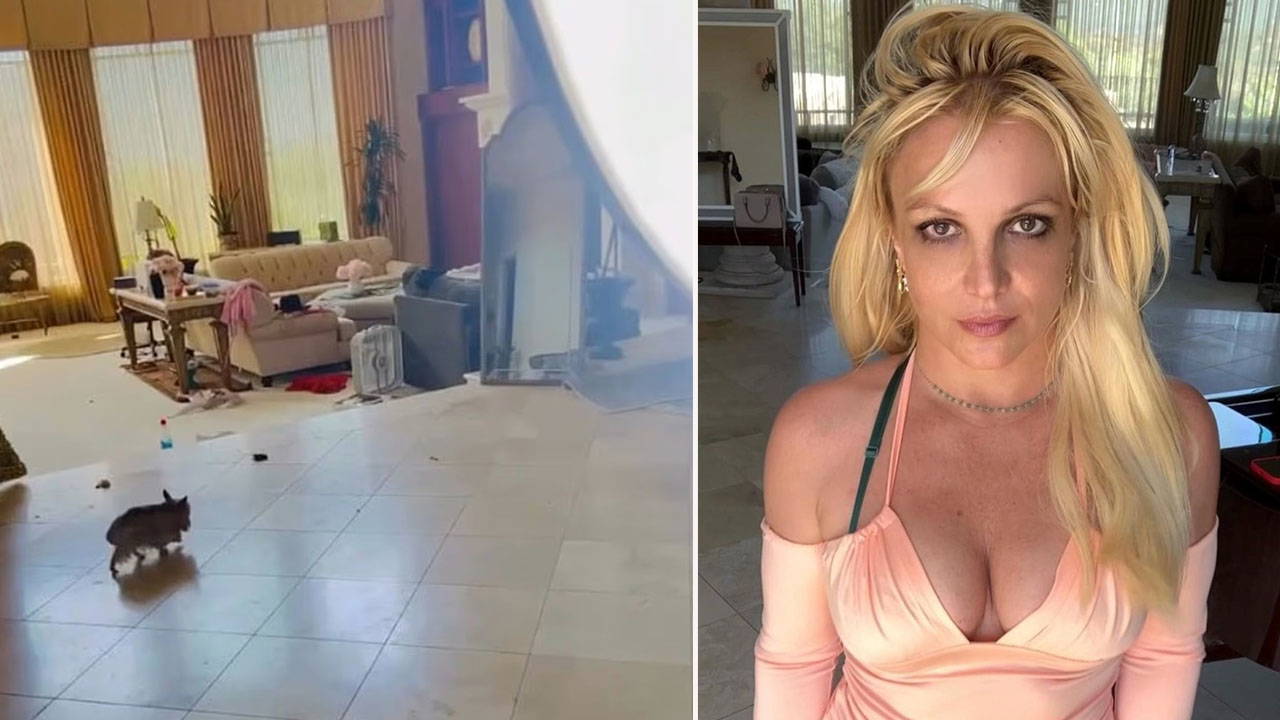 Ünlü şarkıcının evi köpek dışkılarıyla dolu!