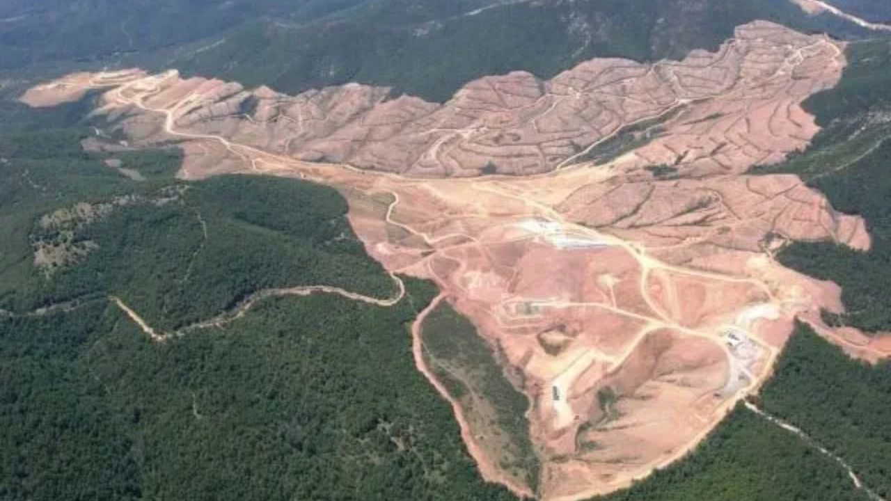 Muğla Büyükşehir'den yasa uyarısı: 57 köy, 820 bin zeytin ağacı yok olacak