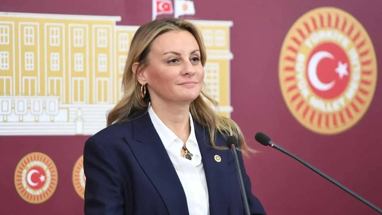 CHP'li Ösen'den hükümete kanserojen ürün denetimi tepkisi!