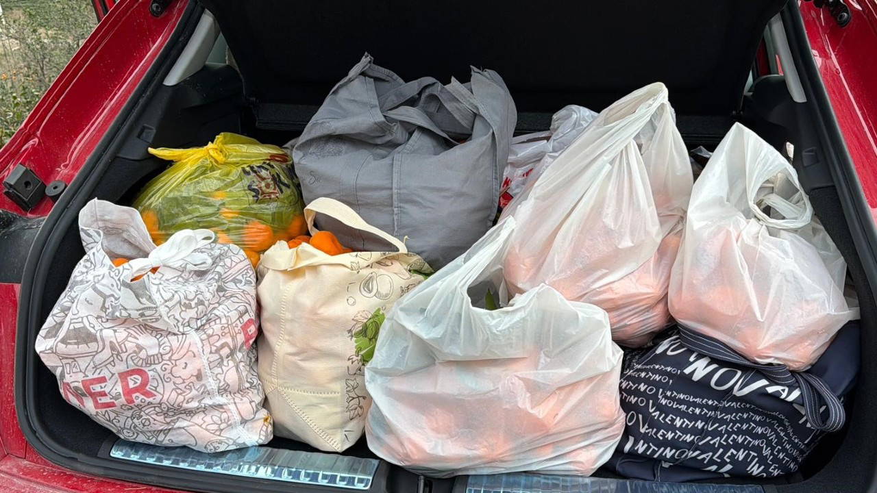 Artvin’de hasat bereketi: Poşet yetmedi, araçların içi doldu taştı