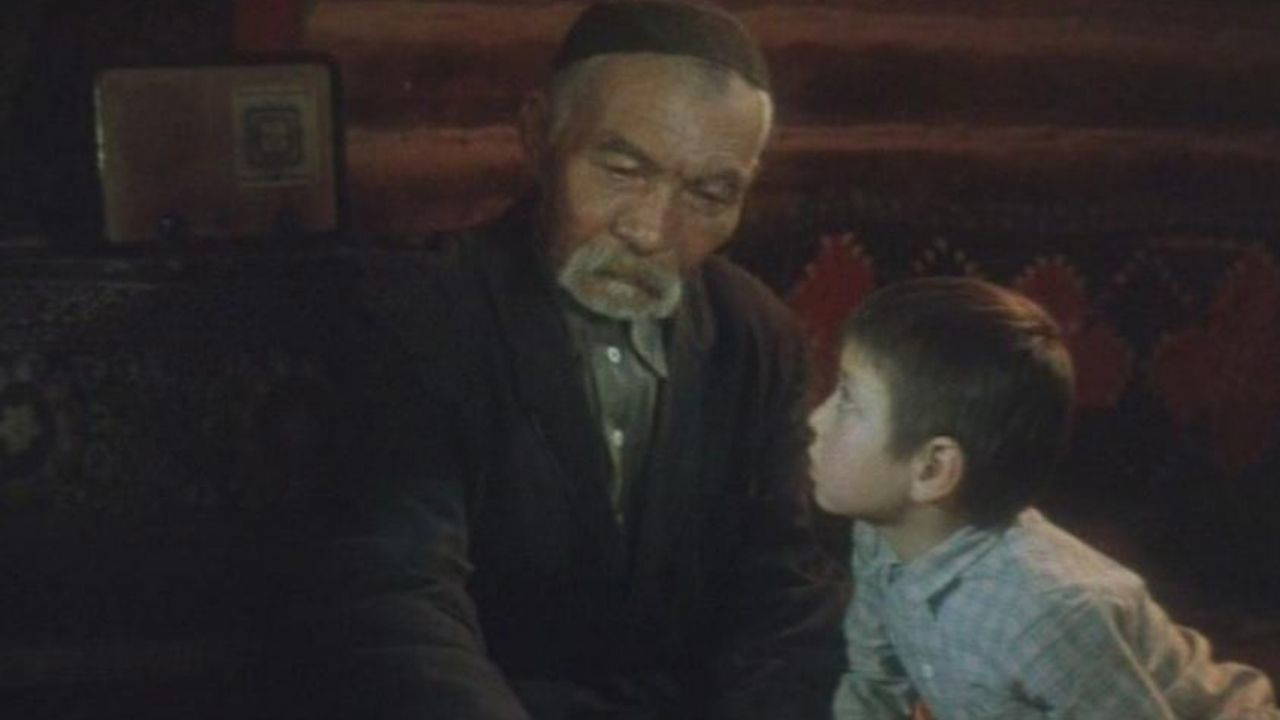 Beyaz Gemi filminin konusu ne? Beyaz Gemi filminin oyuncuları kim?