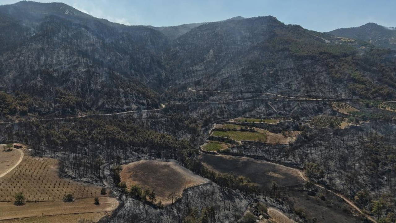 Buldan yangınında felaketin boyutu havadan görüntülendi