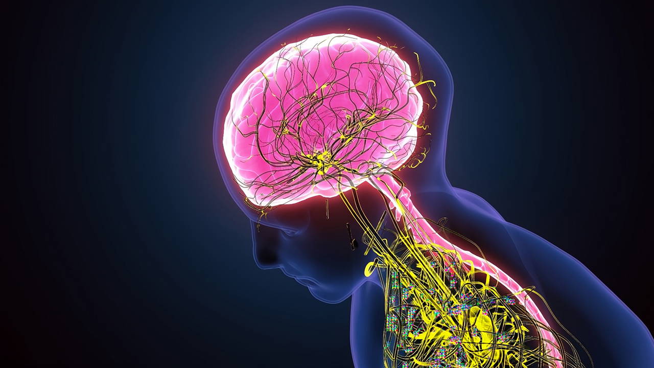 Dijital tükenmişlikten bedensel regülasyona