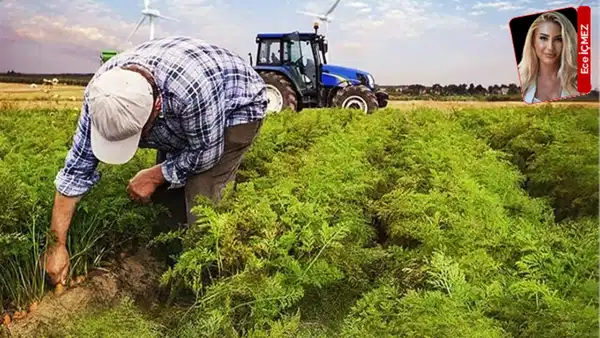 Turkish farmers plant based on hope, not choice, amid rising costs