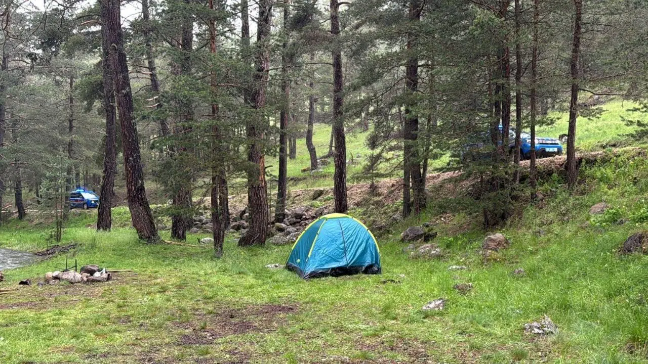 Bolu’da piknikçilerin sığındığı ağaca yıldırım düştü: 1'i ağır 3 yaralı