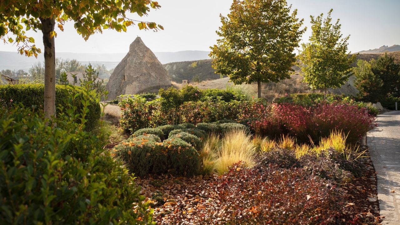 Birlikte yaşamın bahçeleri