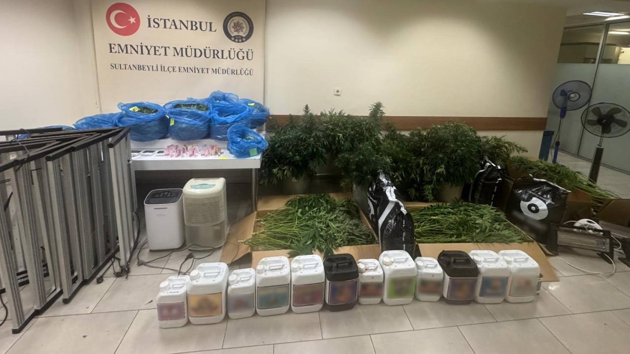 Sultanbeyli’de kenevir serasına baskın: 21 kilo uyuşturucu ele geçirildi