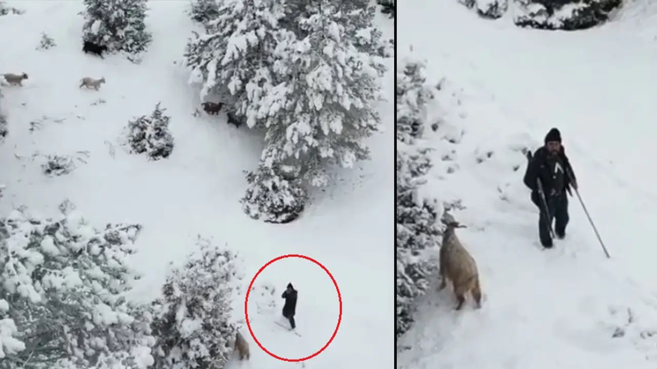 Dronuna tüfek doğrultulan fotoğrafçı: Ateş etse vurabilirdi