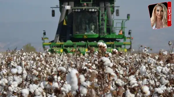 ‘Beyaz altın’ın altınlığı kalmadı