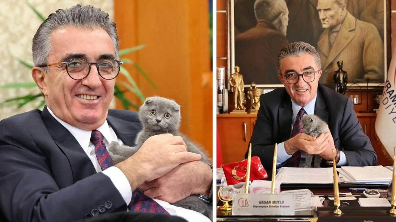 Hasan Mutlu’nun sahiplendiği kedi de binadan uzaklaştırılmak istendi