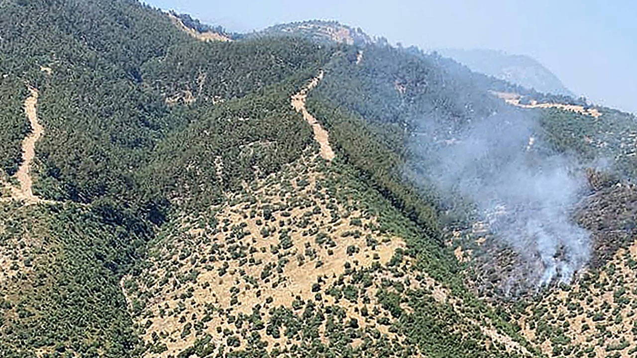 Manisa'da orman yangını