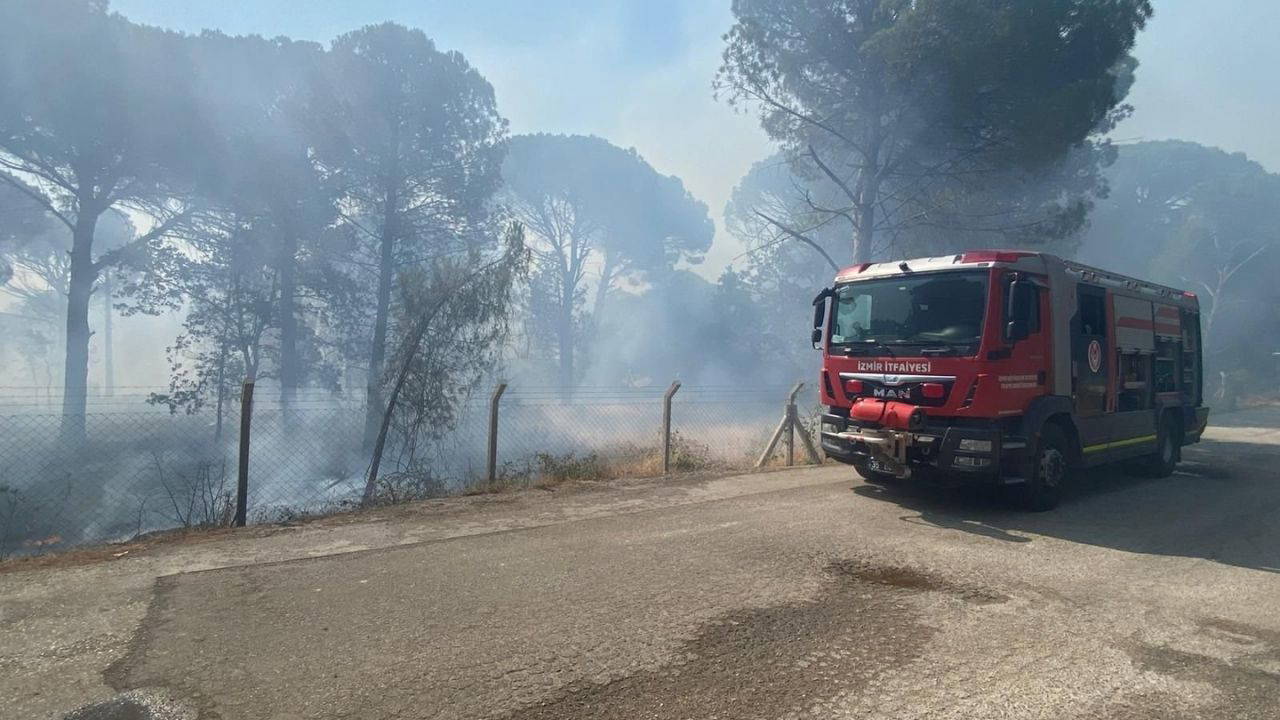 Bergama’da orman yangını