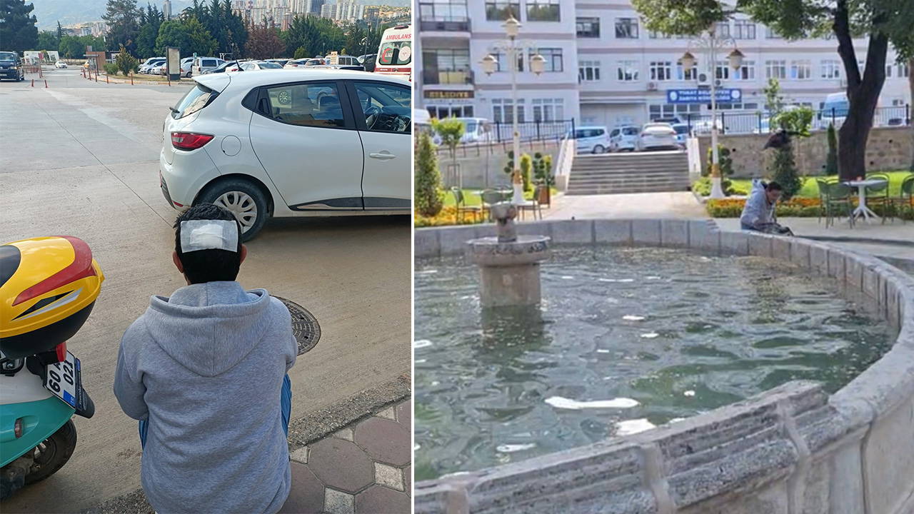 Havuza düşen kargayı kurtarmaya çalıştı: Diğer kargaların saldırısına uğradı!