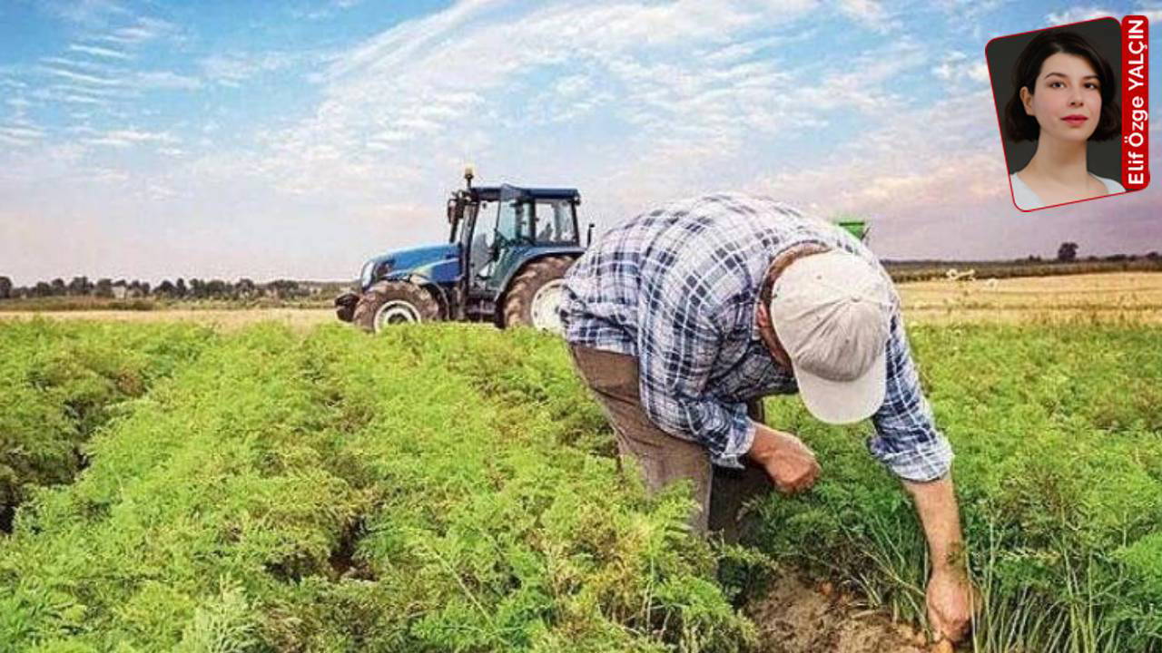 Tarımsal üretimde alarm