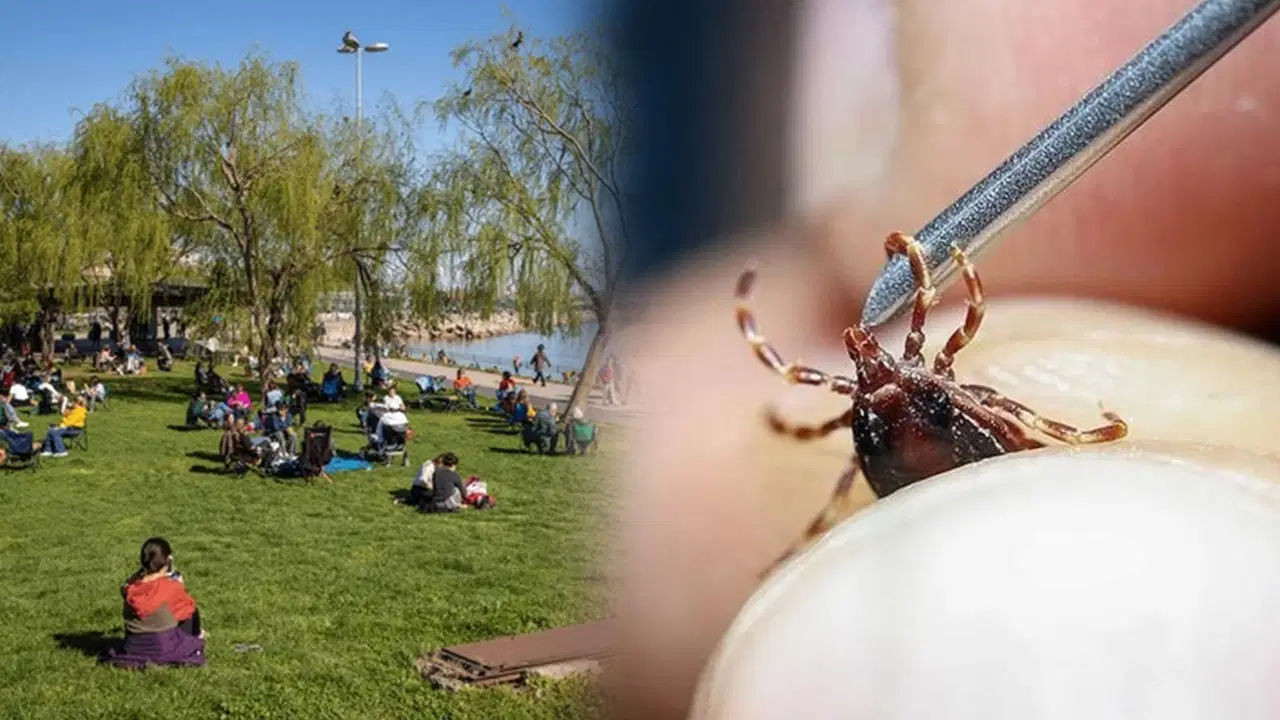 Son Dakika Haber Görseli