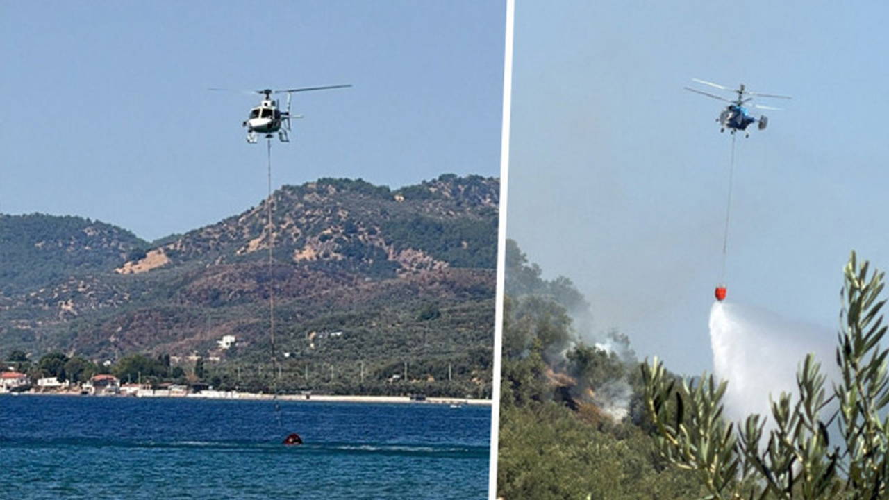 Son dakika... Çanakkale'de zeytinlik alanda yangın: Müdahale başladı
