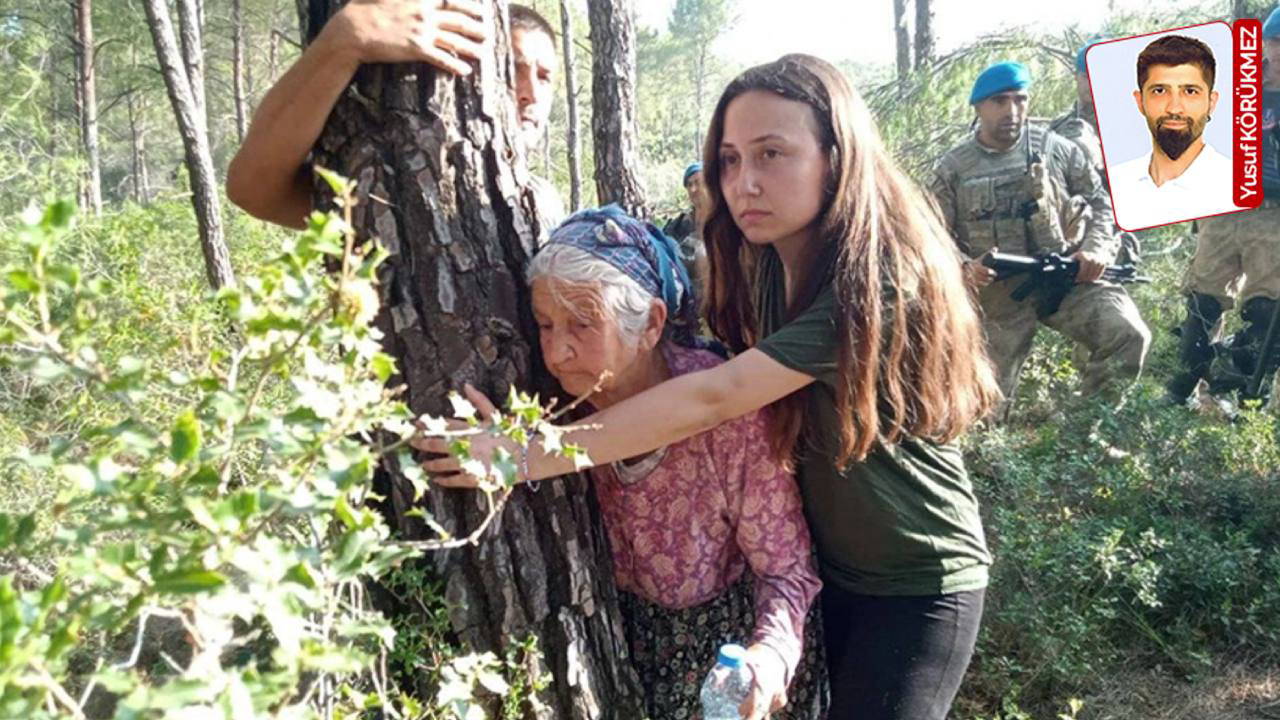 Danıştay’dan dikkat çeken Akbelen kararı!