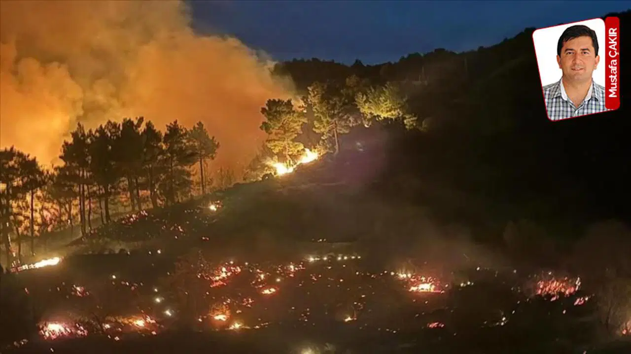 Muğla’da 2021 yılında küle dönen dağların zirveler