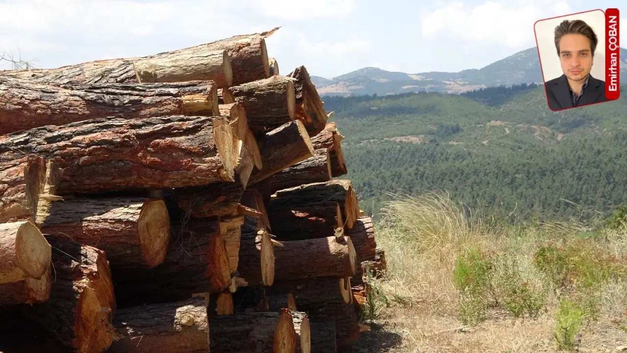 Orman haftasında iktidarın 23 yıllık orman karnesi