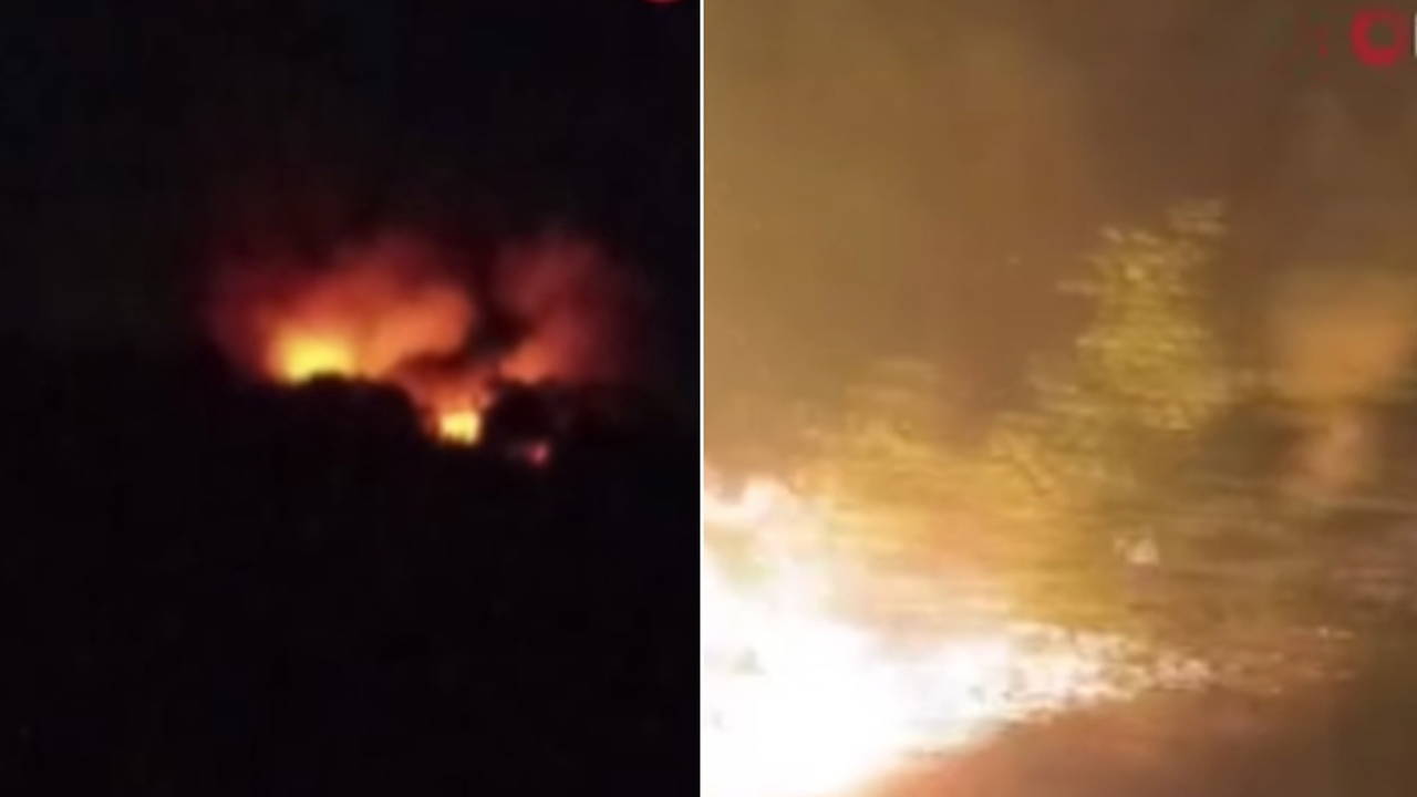 Arnavutköy'de ormanlık alanda yangın çıktı