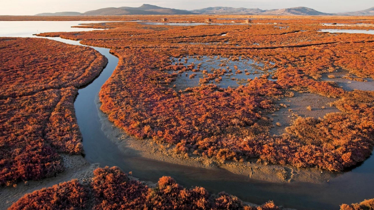İzmir Yaşam Alanları'ndan “su” çağrısı: Bugün susarsak, yarın susuz kalacağız