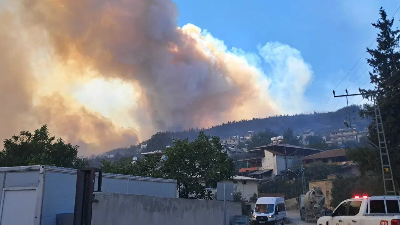 Hatay'da gece boyunca yandı: Yangın rüzgarın etkisiyle yayılıyor!