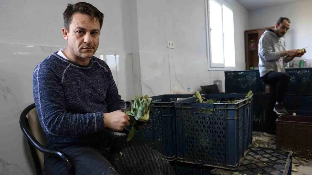 Sezonluk iş için Aydın’a akın ettiler: Gelirleri asgari ücretin 4 katı