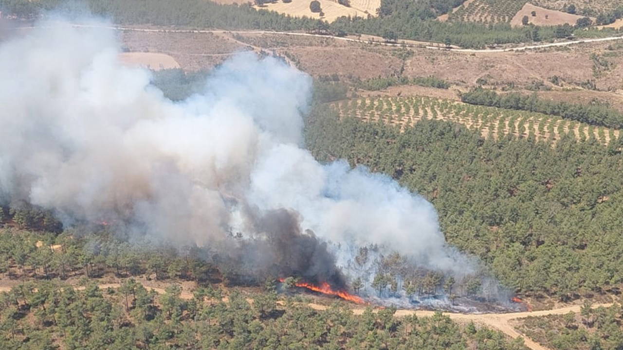 Çanakkale'de yine orman yangını: Kazdağları tehdit altında!
