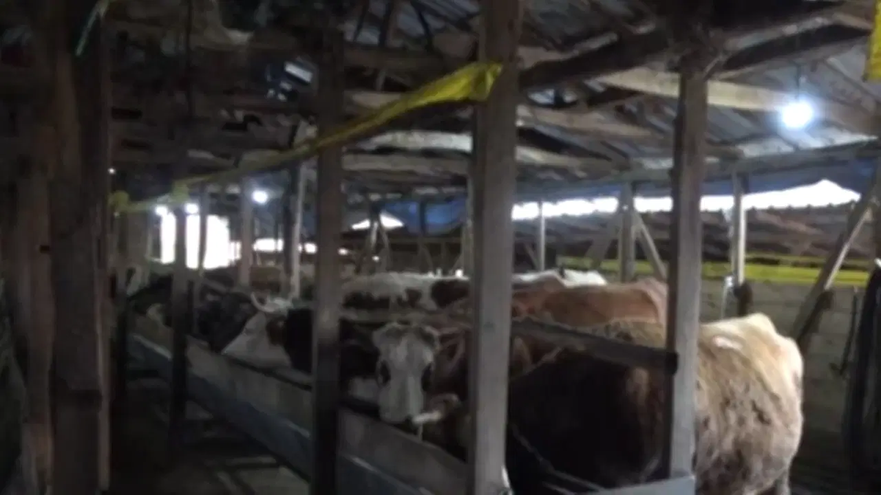 Haber Kapak Görseli