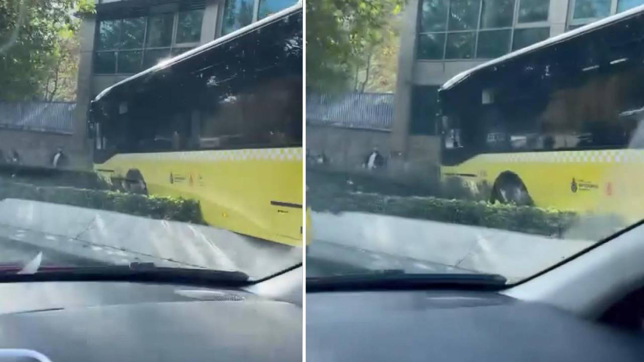 Şoförü kalp krizi geçiren İETT otobüsü kaza yaptı, şoför hayatını kaybetti