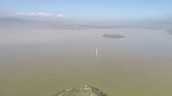 Yoğun yağış barajda çamura yol açtı: İzmir’in 4 ilçesinde su kesintisi