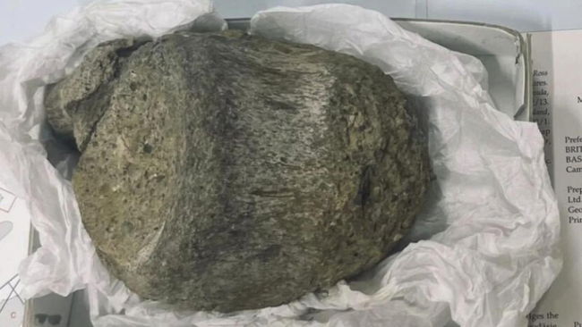 Arşiv çekmecesinden çıktı: Antarktika’nın ilk dinozoru olduğu anlaşıldı