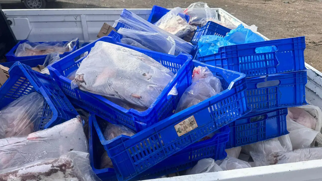 300 kilogramı imha edildi!