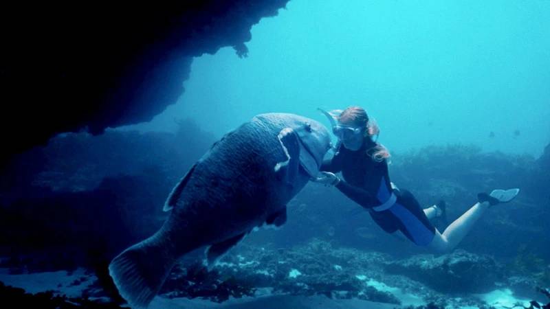 Blueback: Okyanustaki Dost (Blueback) filminin konusu ne? Blueback: Okyanustaki Dost filminin oyuncuları kim?