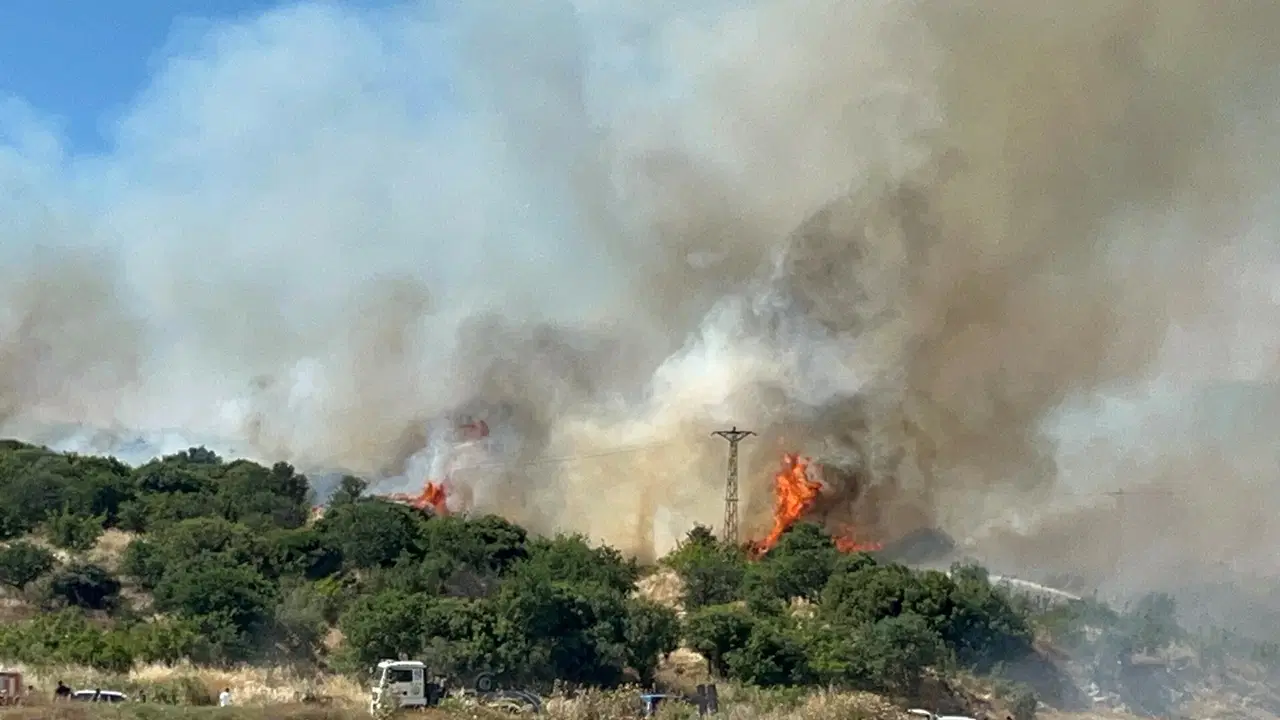 Çanakkale'de bozuk ormanda yangın