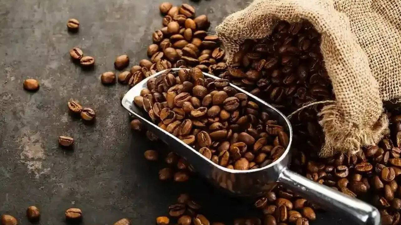 Küresel ekolojik kriz derinleşiyor: İşte, kaybolduğunu fark etmediğimiz 7 şey!